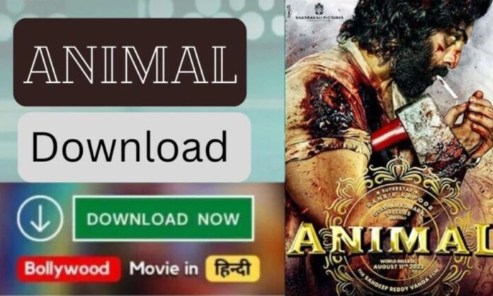 Animal Movie Download